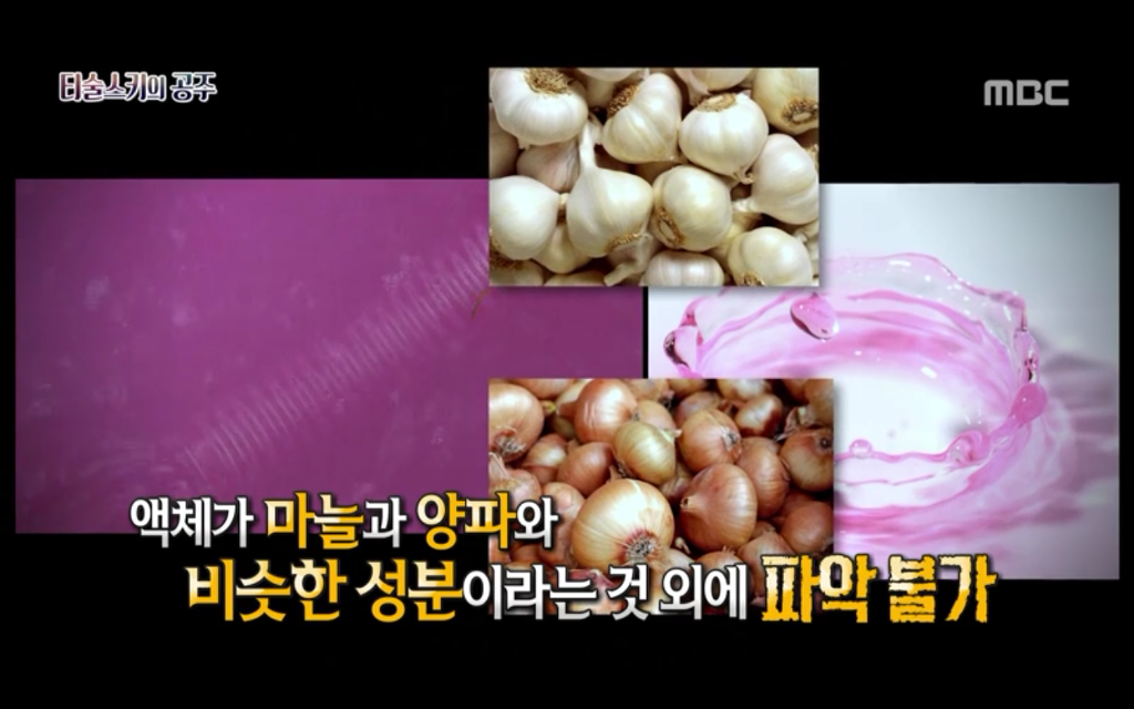 석관 안에서 발견된 8억 년 전의 미라 미스터리, 신비한TV 서프라이즈 '티술스키의 공주' | 인스티즈