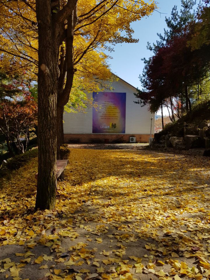 슐레 이미지