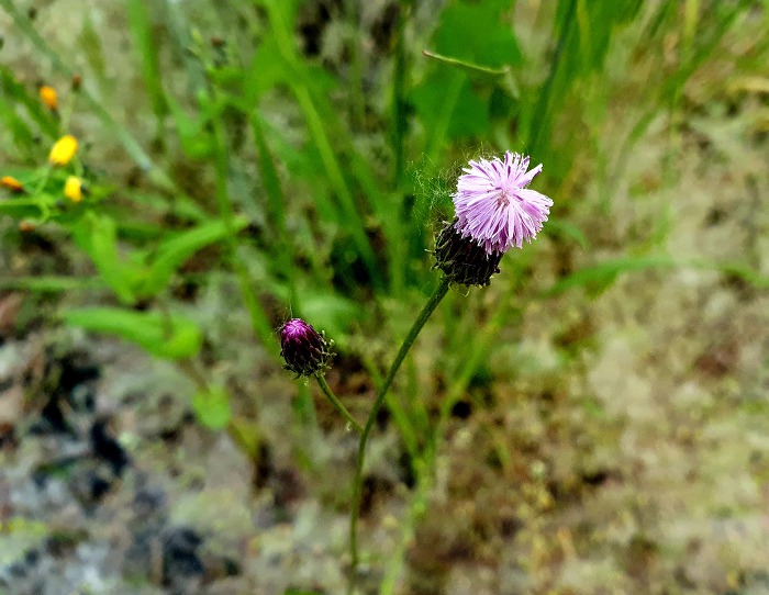 99D2FC355CDE1F6B2AC196