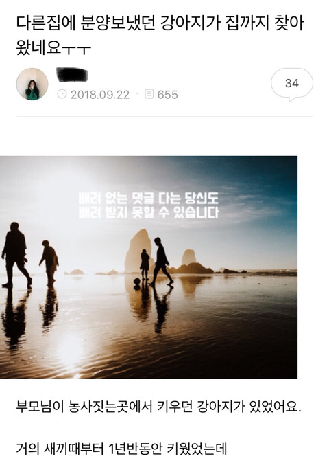 다른집에 분양보냈던 강아지가 집까지 찾아왔네요ㅜㅜ | 인스티즈