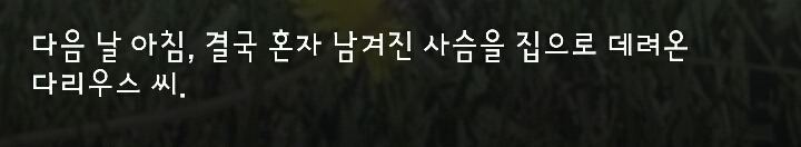 다리 다친 아기사슴을 구해주면 생기는 일.gif (데이터30MB) | 인스티즈