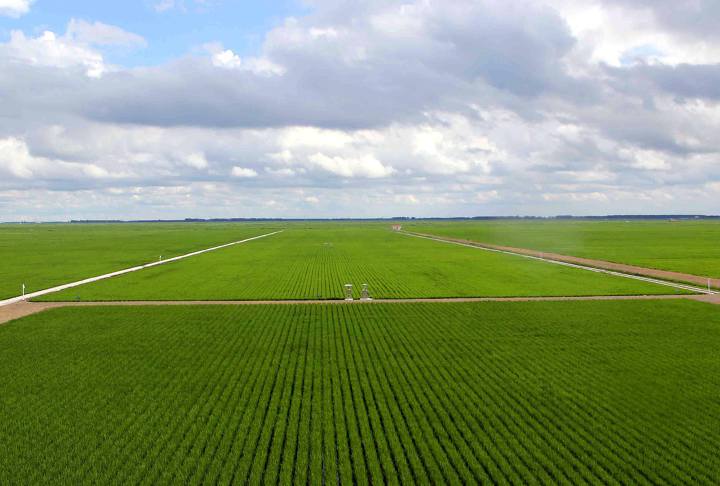 움짤로 보는 2018년 만주벌판의 사계절......gif,jpg | 인스티즈