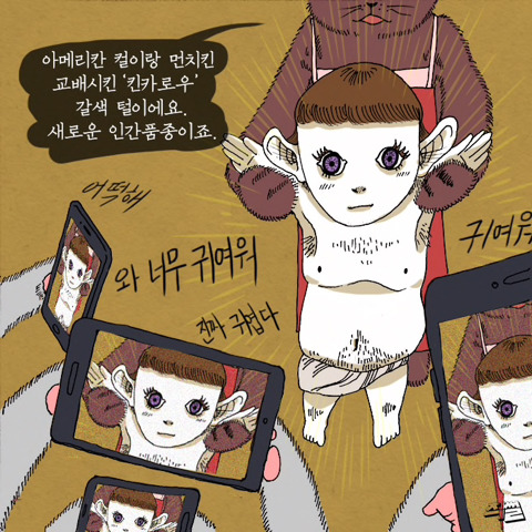 고양이가 애완 인간 키우는 만화 | 인스티즈