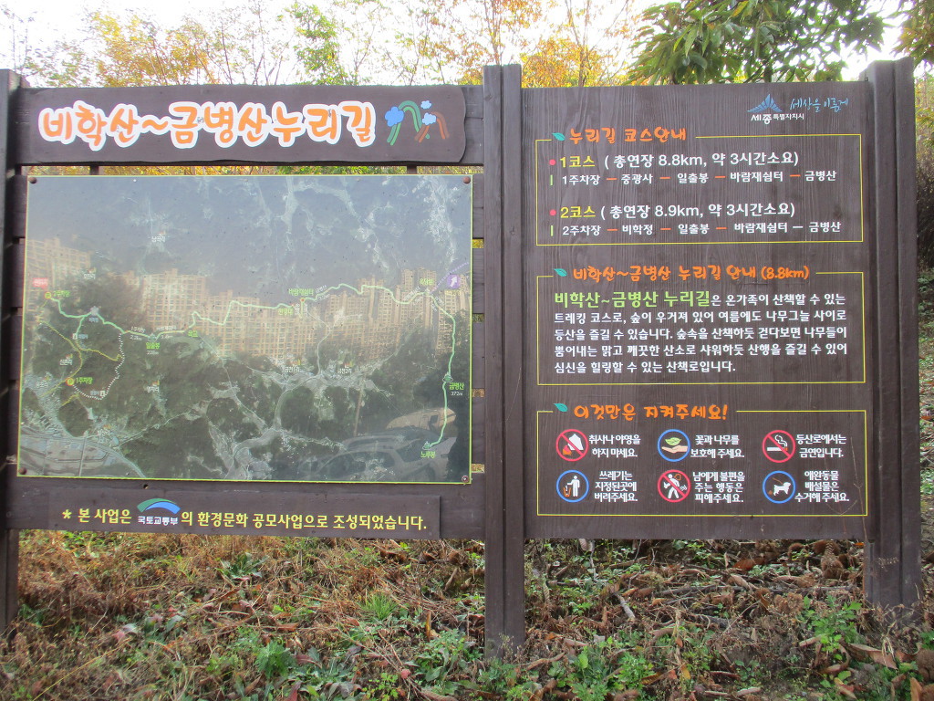 비학산4코스정상 이미지