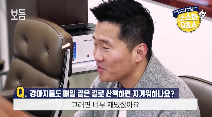 [강형욱의소소한Q&amp;A] 강아지도 매일 같은 길로 산책하면 지겨워 하나요? | 인스티즈
