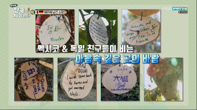 [어서와한국은처음이지] 극과 극인 독일과 멕시코가 제주도 여행을 같이 했을때ㅋㅋㅋㅋㅋㅋㅋㅋㅋ.JPG | 인스티즈