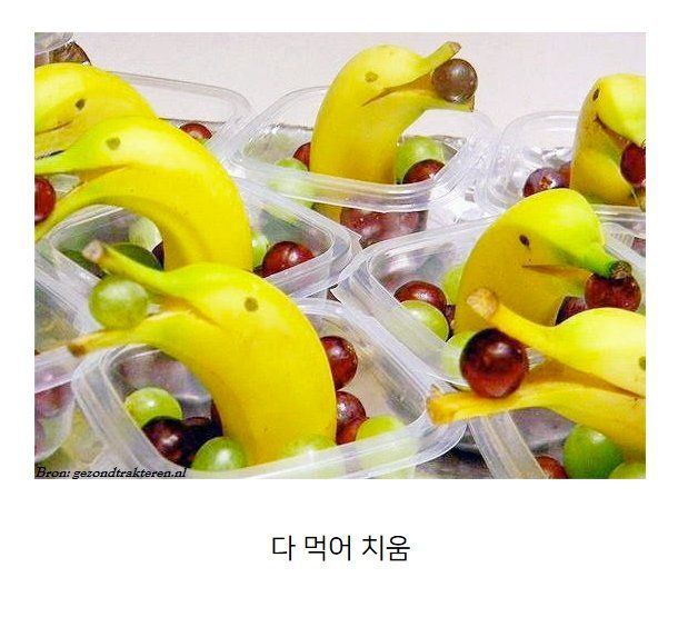 바나나랑 포도랑 같이 두면 안되는 이유 | 인스티즈