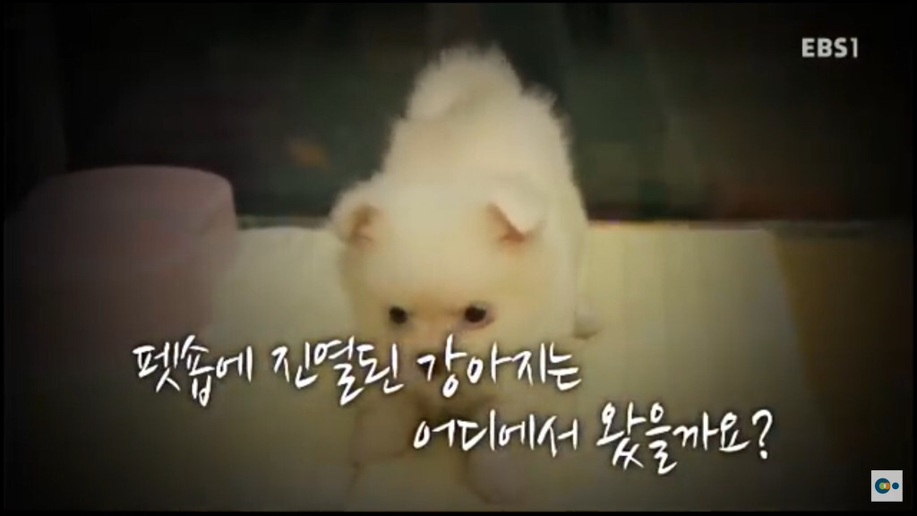 연예인들도 많이 하고 일반인들도 많이 하는데 사실상 욕 먹어도 할말 없는 행동.JPG | 인스티즈