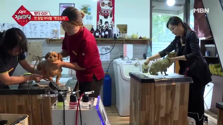 강아지 아로마테라피.jpg | 인스티즈