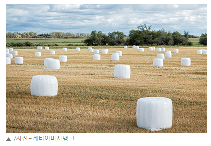 일상생활에서 자주 보고 많이 쓰지만 이름만 모르는 '그거'에 관하여 | 인스티즈