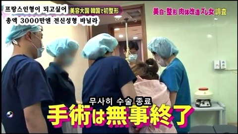 프랑스 인형이 되고싶어 총액 3000만엔 전신성형한 바닐라 | 인스티즈