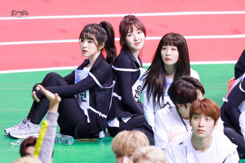 아육대에서 귀여움 폭발한 아이린.jpgif | 인스티즈