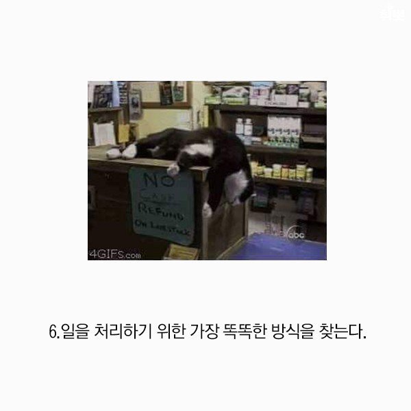 게으른 사람이 점점 똑똑해질 수 밖에 없는 이유 | 인스티즈
