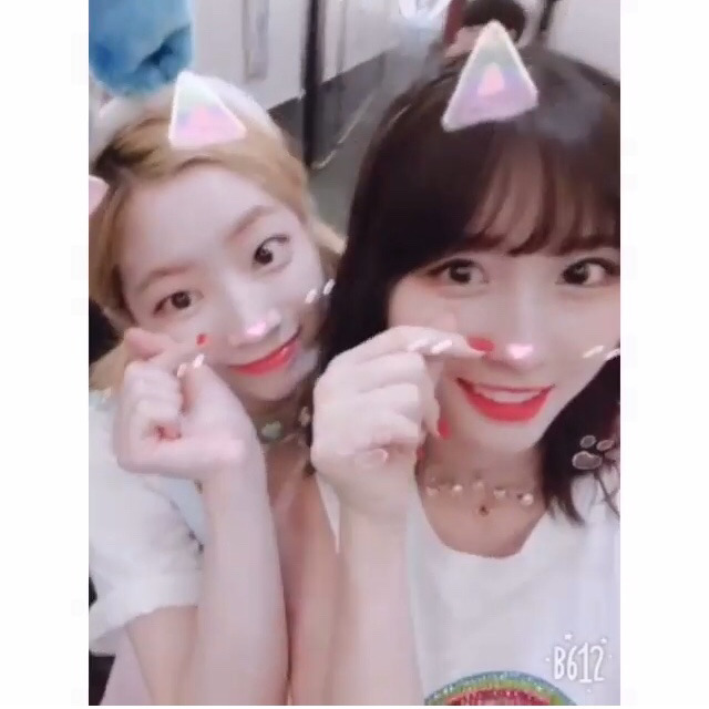 6/17 트와이스 두부한모.jpg | 인스티즈