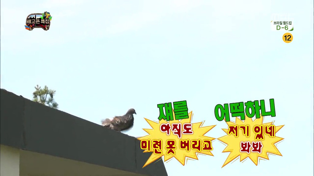 인생 선배로써 비둘기한테 조언해주는 돈노박라인ㅋㅋㅋㅋㅋㅋㅋㅋㅋㅋㅋㅋㅋㅋㅋㅋㅋㅋㅋㅋㅋㅋㅋㅋㅋㅋㅋㅋㅋㅋㅋㅋ.JPG | 인스티즈