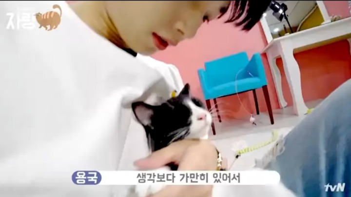 [집사인게자랑] 평화로운 고양이 발톱 자르기.jpg | 인스티즈