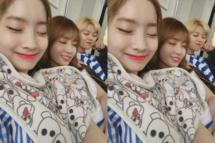 모모과일 이미지