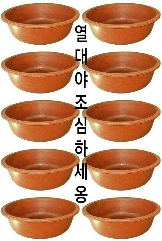 백100 이미지