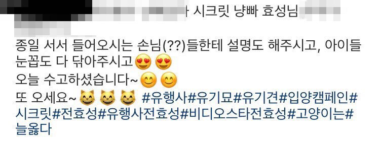 오늘자 고양이 생일파티 해준 전효성 ㅋㅋㅋㅋㅋㅋㅋㅋㅋ | 인스티즈