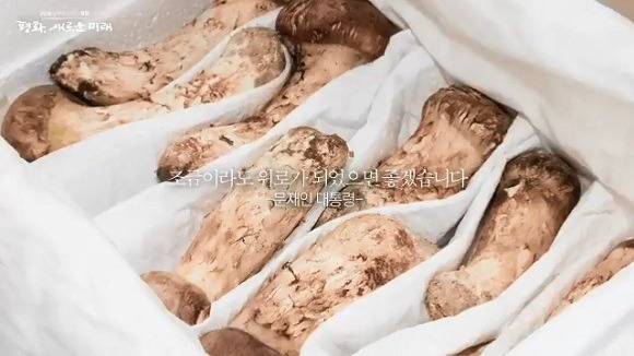 송이버섯 배송작전 | 인스티즈