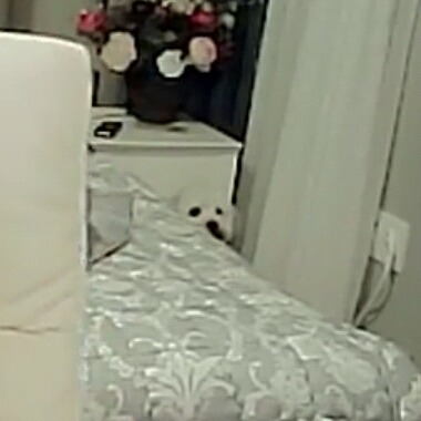 대댕부부] 자다일어나서 아내에게 무한 예쁘다 시전하는 남편 | 인스티즈