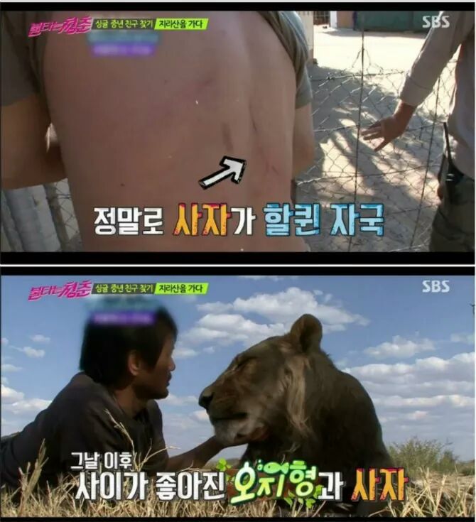허언인줄 알았는데 허언이 아닌 이야기 모음 | 인스티즈